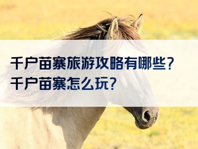 千户苗寨旅游攻略有哪些？千户苗寨怎么玩？