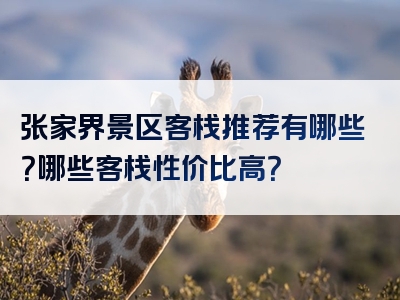 张家界景区客栈推荐有哪些？哪些客栈性价比高？
