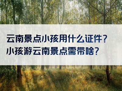 云南景点小孩用什么证件？小孩游云南景点需带啥？