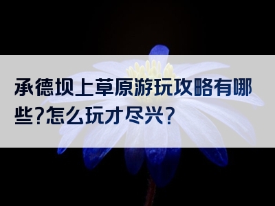 承德坝上草原游玩攻略有哪些？怎么玩才尽兴？