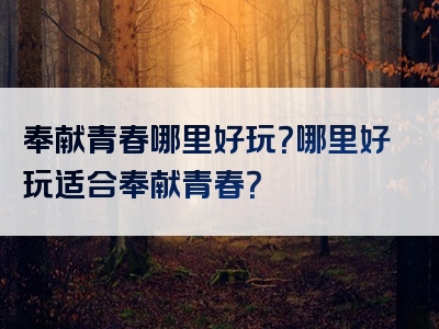 奉献青春哪里好玩？哪里好玩适合奉献青春？