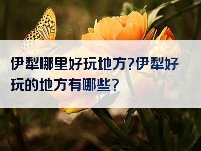 伊犁哪里好玩地方？伊犁好玩的地方有哪些？