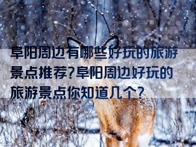 阜阳周边有哪些好玩的旅游景点推荐？阜阳周边好玩的旅游景点你知道几个？