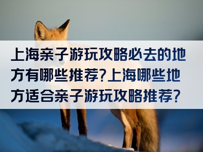 上海亲子游玩攻略必去的地方有哪些推荐？上海哪些地方适合亲子游玩攻略推荐？