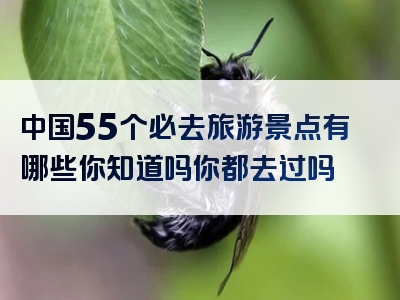 中国55个必去旅游景点有哪些你知道吗你都去过吗