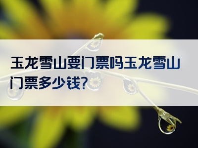 玉龙雪山要门票吗玉龙雪山门票多少钱？
