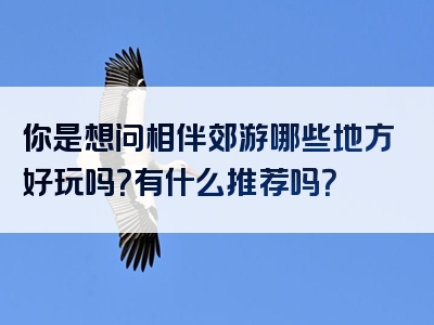 你是想问相伴郊游哪些地方好玩吗？有什么推荐吗？