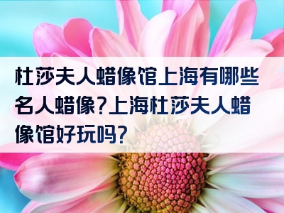 杜莎夫人蜡像馆上海有哪些名人蜡像？上海杜莎夫人蜡像馆好玩吗？