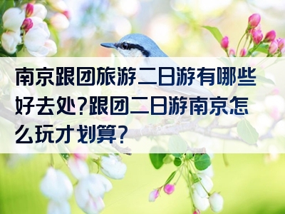 南京跟团旅游二日游有哪些好去处？跟团二日游南京怎么玩才划算？