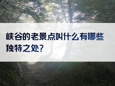 峡谷的老景点叫什么有哪些独特之处？
