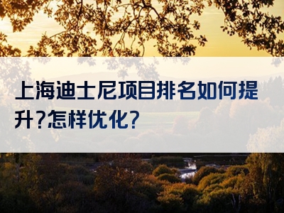 上海迪士尼项目排名如何提升？怎样优化？