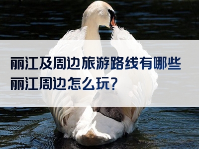 丽江及周边旅游路线有哪些丽江周边怎么玩？