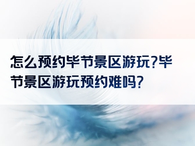 怎么预约毕节景区游玩？毕节景区游玩预约难吗？