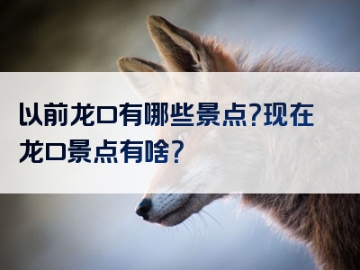 以前龙口有哪些景点？现在龙口景点有啥？