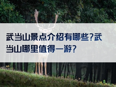 武当山景点介绍有哪些？武当山哪里值得一游？