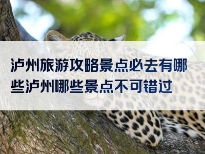 泸州旅游攻略景点必去有哪些泸州哪些景点不可错过