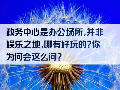 政务中心是办公场所，并非娱乐之地，哪有好玩的？你为何会这么问？
