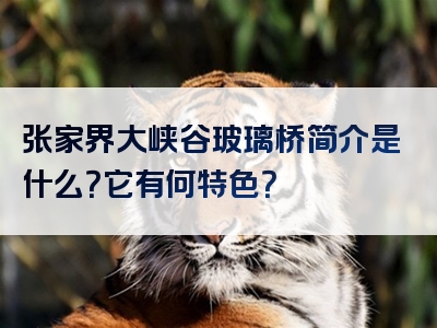 张家界大峡谷玻璃桥简介是什么？它有何特色？