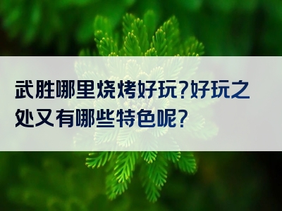 武胜哪里烧烤好玩？好玩之处又有哪些特色呢？
