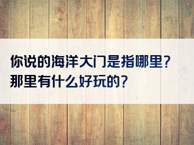 你说的海洋大门是指哪里？那里有什么好玩的？