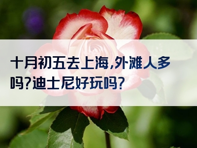 十月初五去上海，外滩人多吗？迪士尼好玩吗？
