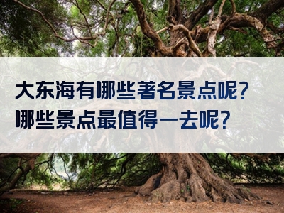 大东海有哪些著名景点呢？哪些景点最值得一去呢？