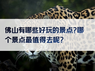 佛山有哪些好玩的景点？哪个景点最值得去呢？