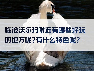 临沧沃尔玛附近有哪些好玩的地方呢？有什么特色呢？