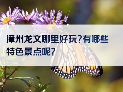漳州龙文哪里好玩？有哪些特色景点呢？