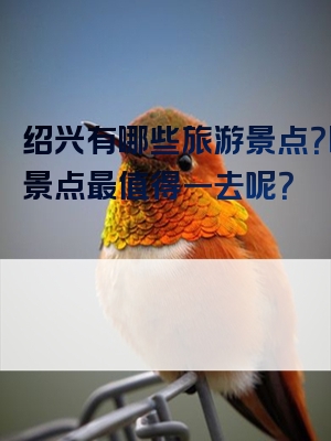 绍兴有哪些旅游景点？哪些景点最值得一去呢？