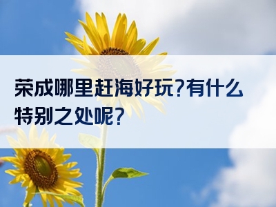 荣成哪里赶海好玩？有什么特别之处呢？