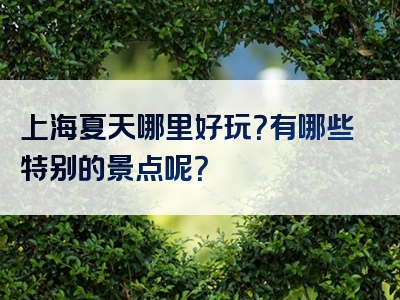 上海夏天哪里好玩？有哪些特别的景点呢？
