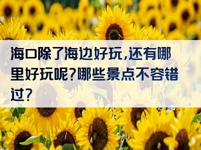 海口除了海边好玩，还有哪里好玩呢？哪些景点不容错过？