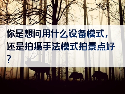 你是想问用什么设备模式，还是拍摄手法模式拍景点好？