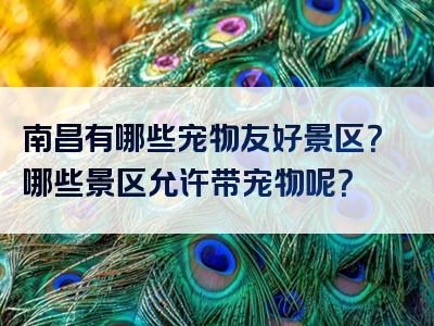 南昌有哪些宠物友好景区？哪些景区允许带宠物呢？