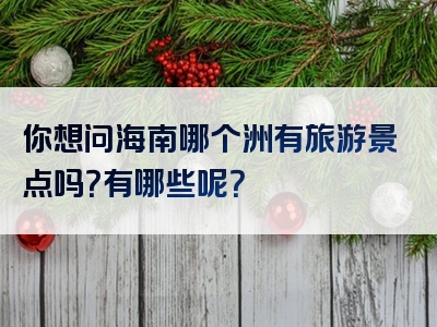 你想问海南哪个洲有旅游景点吗？有哪些呢？