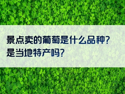 景点卖的葡萄是什么品种？是当地特产吗？