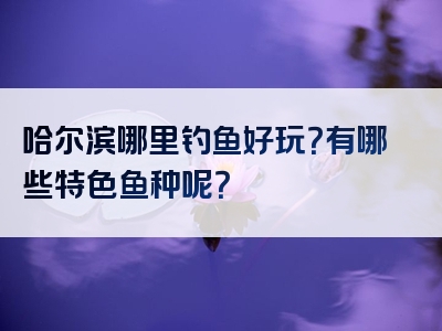 哈尔滨哪里钓鱼好玩？有哪些特色鱼种呢？