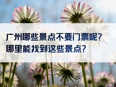 广州哪些景点不要门票呢？哪里能找到这些景点？