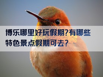 博乐哪里好玩假期？有哪些特色景点假期可去？
