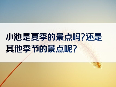 小池是夏季的景点吗？还是其他季节的景点呢？