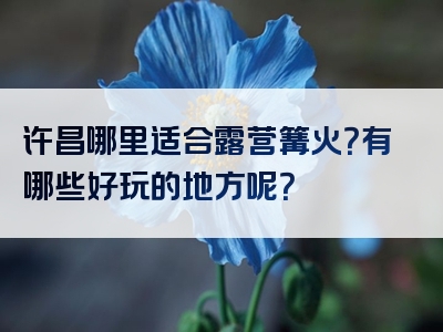 许昌哪里适合露营篝火？有哪些好玩的地方呢？