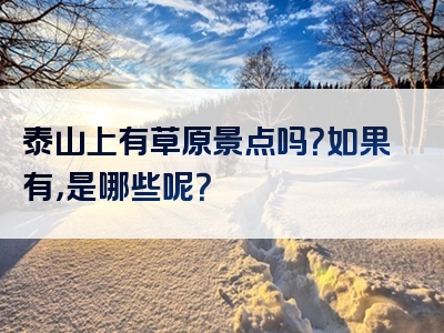 泰山上有草原景点吗？如果有，是哪些呢？