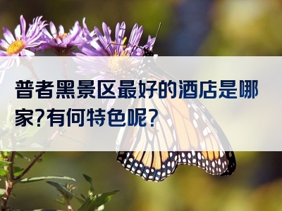 普者黑景区最好的酒店是哪家？有何特色呢？