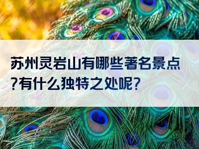 苏州灵岩山有哪些著名景点？有什么独特之处呢？