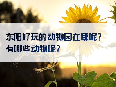 东阳好玩的动物园在哪呢？有哪些动物呢？
