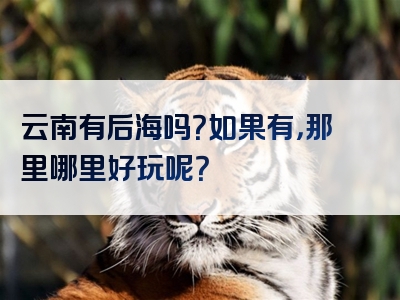 云南有后海吗？如果有，那里哪里好玩呢？