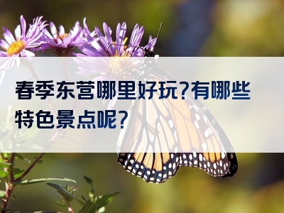 春季东营哪里好玩？有哪些特色景点呢？