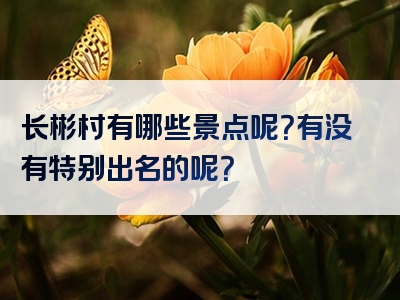 长彬村有哪些景点呢？有没有特别出名的呢？