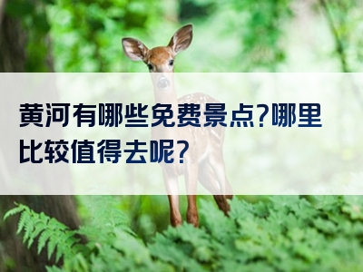 黄河有哪些免费景点？哪里比较值得去呢？